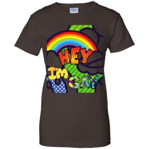 Hey I'm Gay LGBT Pride T-Shirts, Hoodie, Tank 23