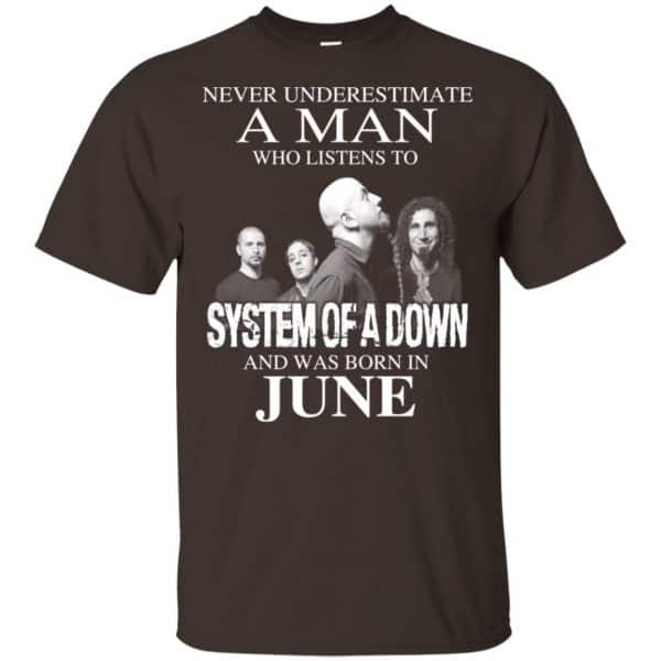 A Man Who Listens To System Of A Down And Was Born In June T-Shirts, Hoodie, Tank 6