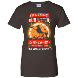I'm A Grumpy Old Witch My Level Of Sarcasm Depends On Your Level Of Stupidity Halloween T-Shirts, Hoodie, Tank 23