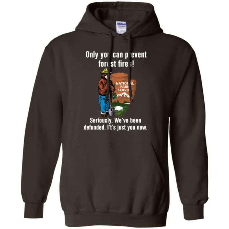 Vintage Smokey Bear Hoodie - 'Only You Can Prevent Wildfires' Pullover (Black, 4XL) - View #8