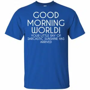 Good Morning World Your Little Ray Of Sarcastic Sunshine Has Arrived Shirt, Hoodie, Tank 16
