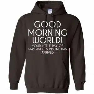 Good Morning World Your Little Ray Of Sarcastic Sunshine Has Arrived Shirt, Hoodie, Tank 20