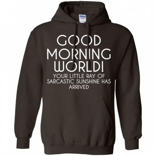 Good Morning World Your Little Ray Of Sarcastic Sunshine Has Arrived Shirt, Hoodie, Tank 9