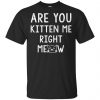 Are You Kitten Me Right Meow Shirt, Hoodie, Tank 1 Are You Kitten Me Right Meow Shirt, Hoodie, Tank 1