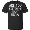 Are You Kitten Me Right Meow Shirt, Hoodie, Tank 2