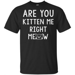 Are You Kitten Me Right Meow Shirt, Hoodie, Tank Apparel