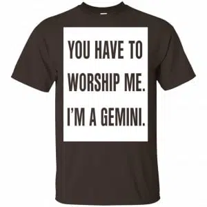 You Have To Worship Me I'm A Gemini Shirt, Hoodie, Tank 15