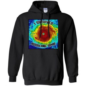 I Survived Hurricane Irma - Hurricane Matthew Shirt, Hoodie, Tank 18