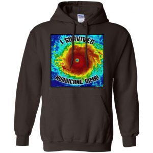 I Survived Hurricane Irma - Hurricane Matthew Shirt, Hoodie, Tank 20