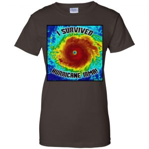 I Survived Hurricane Irma - Hurricane Matthew Shirt, Hoodie, Tank 23