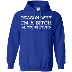 Reason Why I'm A Bitch You're Stupid Shirt, Hoodie, Tank 21