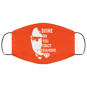 Shine On You Crazy Diamond – Syd Barrett Face Mask 29
