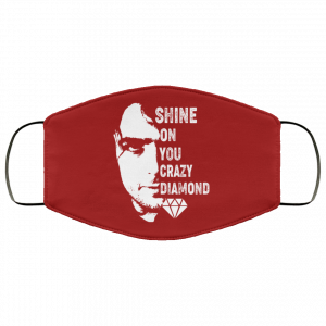 Shine On You Crazy Diamond – Syd Barrett Face Mask 46