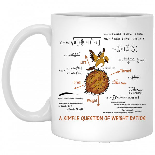 A Simple Question Of Weight Ratios Funny Math Teacher Mug 3