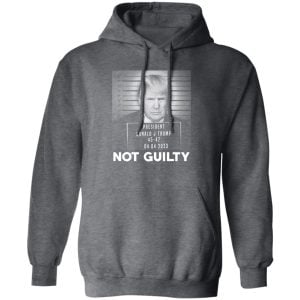 Trump Not Guilty President 16