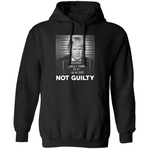Trump Not Guilty President 2
