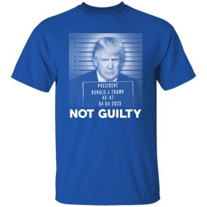 Trump Not Guilty President 18
