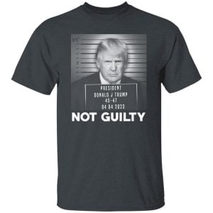 Trump Not Guilty President 19
