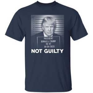 Trump Not Guilty President 20
