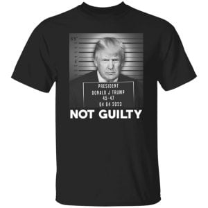 Trump Not Guilty President 17