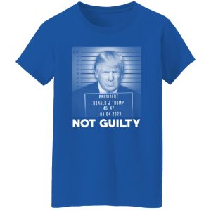 Trump Not Guilty President 22