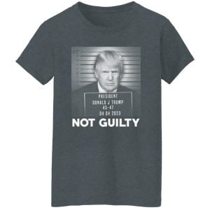 Trump Not Guilty President 24